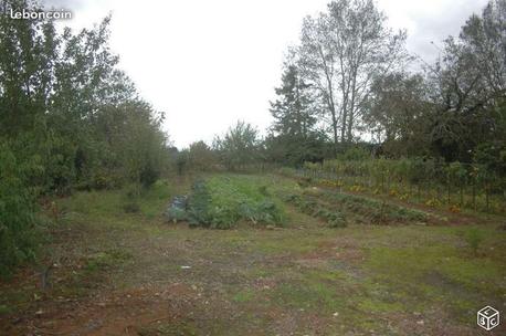SAINT-VALERIEN - 10000 m2 - 15000euros
