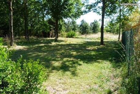 SAINTE-CECILE - 1150 m2 - 45000euros