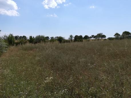 SOUBISE - 722 m2 - 72200euros